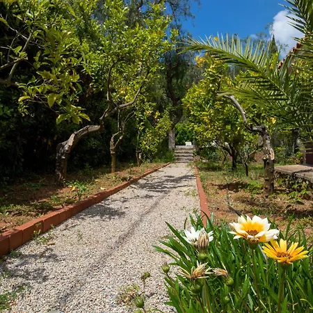 Gelsomini Capoliveri (Isola d'Elba)