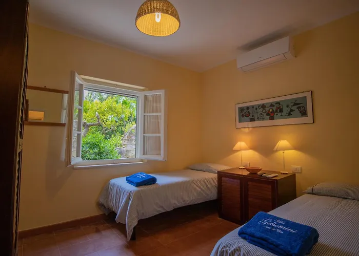 Gelsomini * Capoliveri (Isola d'Elba)