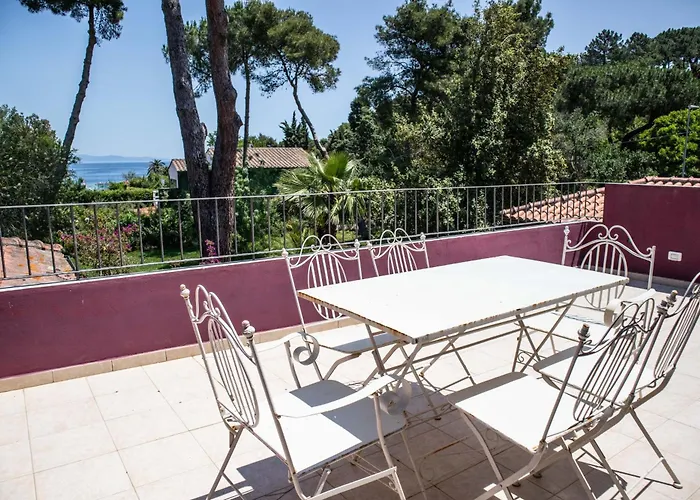 Gelsomini * Capoliveri (Isola d'Elba)