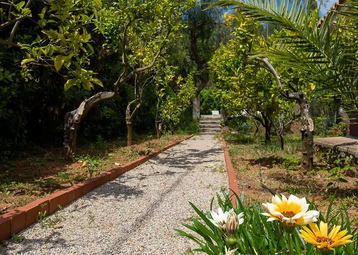 Gelsomini Capoliveri (Isola d'Elba)