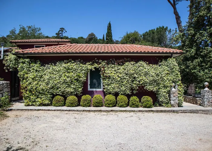 Gelsomini * Capoliveri (Isola d'Elba)